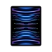 Tablet iPad Pro Apple MP213TY/A 8 GB RAM M2 Silberfarben 256 GB