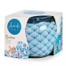 Scented Candle Ocean 7,5 x 6,3 x 7,5 cm (12 Units)