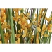 Διακοσμητικό Φυτό DKD Home Decor Πλαστική ύλη Κίτρινο (Ανακαινισμenα A)