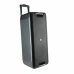 Haut-parleurs bluetooth portables NGS WILD RAVE 2 Noir 300 W