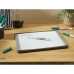 Felt-tip pens Bic Pocket 1741 Whiteboard Circular Green (12 Units)