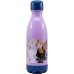 Vandens butelis Frozen CZ11267 Kasdieninis naudojimas 560 ml Plastmasinis
