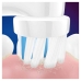 Tandbørstehoved Oral-B EB 10-4FFS  4UD Lilla Multifarvet