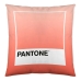 Poszewka na poduszkę Ombre B Pantone Localization-B086JQB7QD Odwracalny 50 x 50 cm