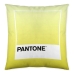 Cushion cover Ombre C Pantone Localization_B086JQZYZH Reversible 50 x 50 cm