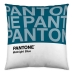 Cushion cover Two Colours Pantone Localization-B086JPZ8ML Reversible 50 x 50 cm