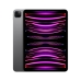 Planšetė iPad Pro 11 Apple MNXF3TY/A 8 GB RAM M2 Pilka 8 GB 256 GB