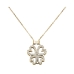 Ladies' Necklace AN Jewels AL.NLBUTT4GMC