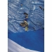 Swimmingpool Cover Gre   Blå 5 x 3 m