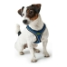 Imbracatura per Cani Hunter Hilo-Comfort Azzurro Taglia S/M (48-55 cm)