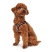 Pas za psa Hunter Hilo-Comfort Rdeča Velikost S/M (48-55 cm)