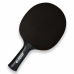 Raquette de ping-pong Donic CarboTec 3000