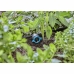 Σταγονοσωλήνας τερματικός Gardena Microdripsystem 13314-20 8 l/h