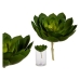 Dekorativ Plante Grønn Plast