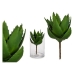 Plantă decorativă 8430852770363 Verde Plastic