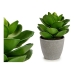 Dekorationspflanze Grau 16 x 21 x 16 cm grün Kunststoff