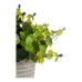 Roślina Dekoracyjna Liliowy Kvety Szary Fioletowy Kolor Zielony Plastikowy