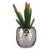 Декоративно Растение Сребрист Кактус Керамика Пластмаса (8 x 20 x 8 cm)