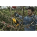 Pruning Shears Stephane Domergue 257022001/ST1 SC 100e Bypass