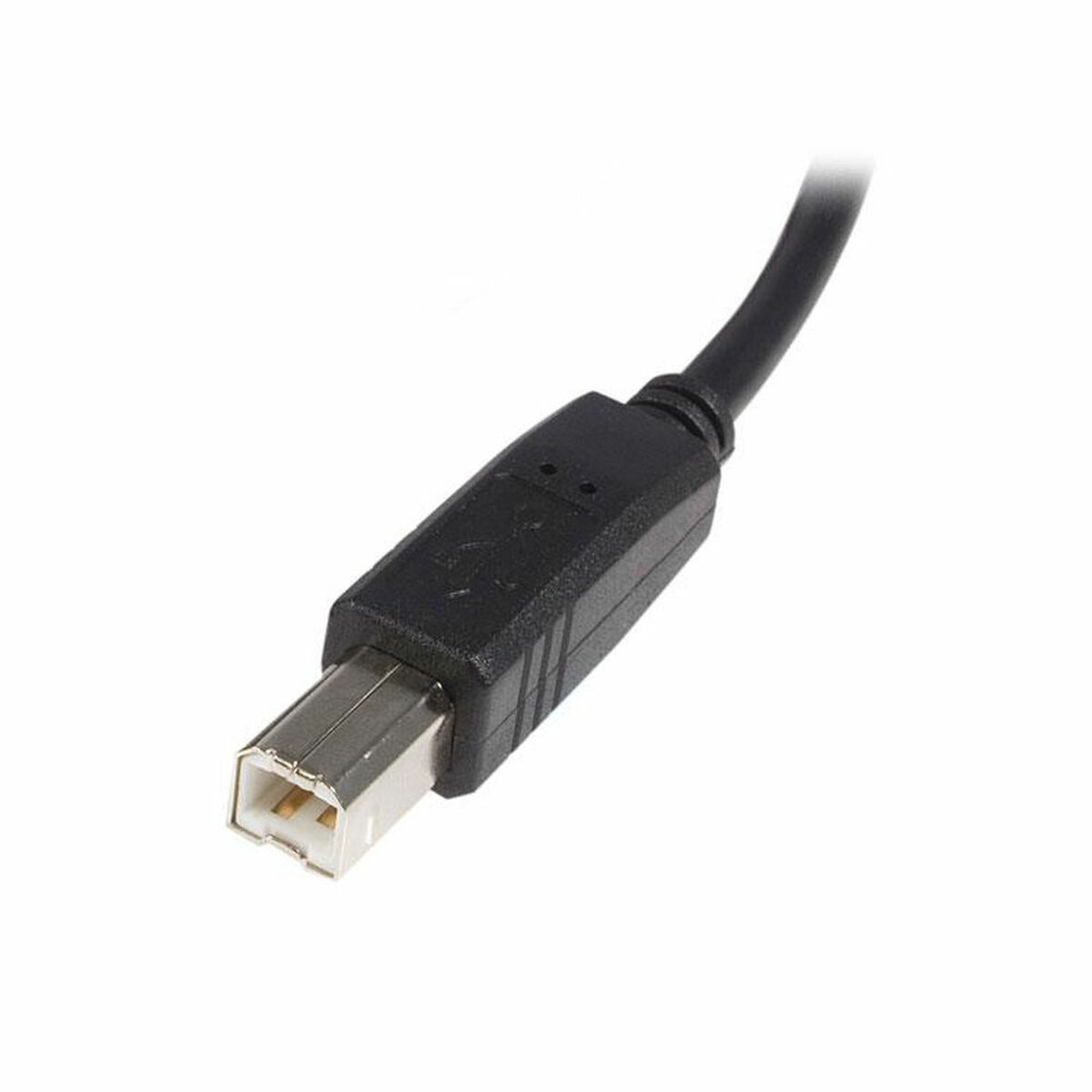 USB A til USB B-kabel Startech USB2HAB1M Sort