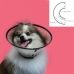 Elizabethan Dog Collar KVP Saf-T-Clear Transparent (30-53 cm)