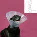 Guler elisabetan pentru câini KVP Betsy Transparent (39-48 cm)