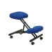 Ergonomikus szék Mahora P&C BALI229 Kék