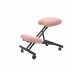 Ergonomická stolička Mahora P&C BALI710 Růžový