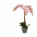 Декоративно Растение Орхидея Пластмаса 29 x 78 x 35 cm (2 броя)