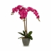 Dekorativna rastlina Orhideja Plastika 60 x 78 x 44 cm (2 kosov)