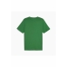 Pánske tričko s krátkym rukávom Puma SNEAKER BOX TEE 680175 86 zelená