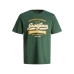 Heren-T-Shirt met Korte Mouwen Jack & Jones TEE SS 12246690 Groen (S)