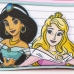 Divkāršs futrālis Disney Princess Rozā 22,5 x 8 x 10 cm