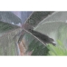 Pintura Home ESPRIT Palmeiras Tropical 90 x 3,5 x 120 cm (2 Unidades)