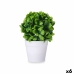 Decoratieve plant Plastic (6 Stuks)
