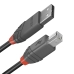 Kabel USB A naar USB B LINDY 36670 20 cm Zwart
