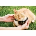 Collier pour chat PetSafe Prf-3004xw-20