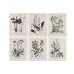 Maalaus Home ESPRIT Shabby Chic Kasvitieteelliset kasvit 40 x 1,5 x 50 cm (6 osaa)