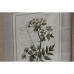 Cadre Home ESPRIT Shabby Chic Plantes botaniques 30 x 2 x 40 cm (6 Unités)