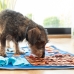 Ольфакторный коврик для домашних животных Foopark InnovaGoods