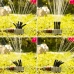 360º Vanningsprinkler for hagen Klerdden InnovaGoods 36 dyser