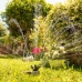 360-stopinjski vrtni vodni razpršilnik Klerdden InnovaGoods 36 curkov