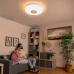 Φωτιστικό Οροφής LED με Ηχείο Lumavox InnovaGoods