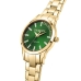 Relógio masculino Trussardi R2453141505 Verde