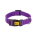 Dog collar Dingo 14767 Purple 49 cm 31 cm