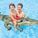 Napihljiva figura za v bazen Intex Krokodil 86 x 20 x 170 cm (6 kosov)