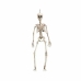 Decoración para Halloween My Other Me Blanco 90 cm Esqueleto (1 Pieza)