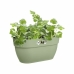 Plant pot Elho Vibia Campana Easy Hanger Medium 24,1 x 36 x 26,5 cm Green