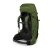Batoh/ruksak na pěší turistiku OSPREY Aether Zelená Monochromatická Nylon 65 L