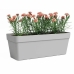 Plant pot Artevasi Light grey 49,9 x 20 x 18,1 cm